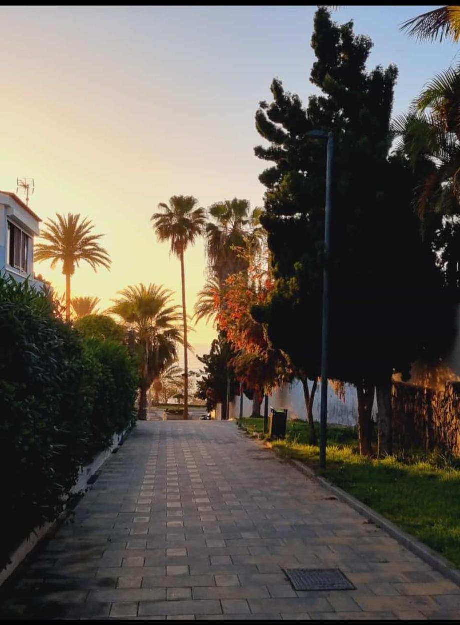 Fwt Relax Bungalow Playa de las Américas Dış mekan fotoğraf
